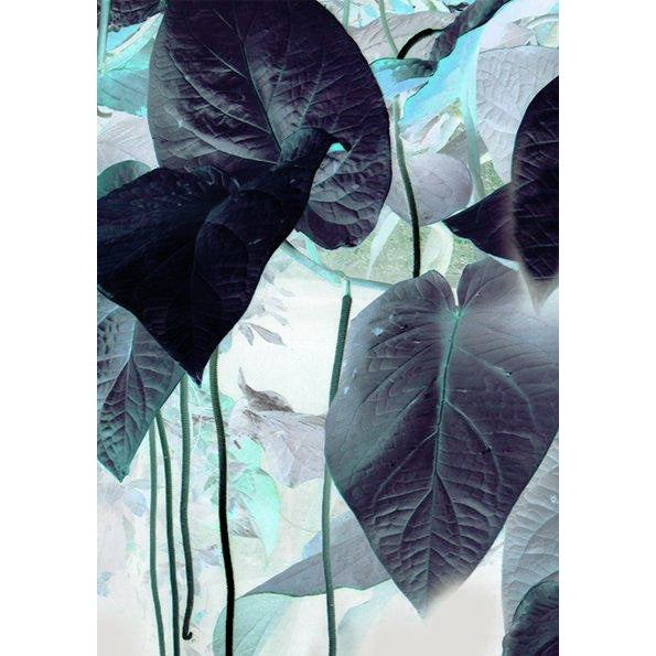 Elli Popp / Talbots Calotype / PM167-01 mica