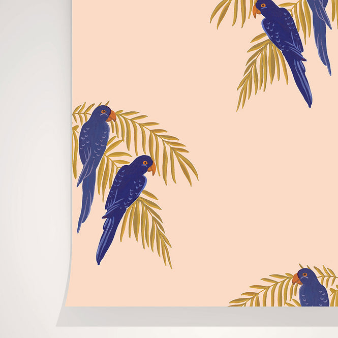 Season paper Collection / Parrots PP-S1801