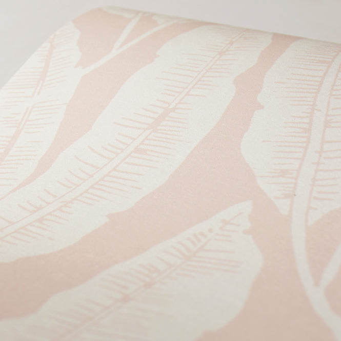 Season paper Collection / Plumes poudre PP-S1908