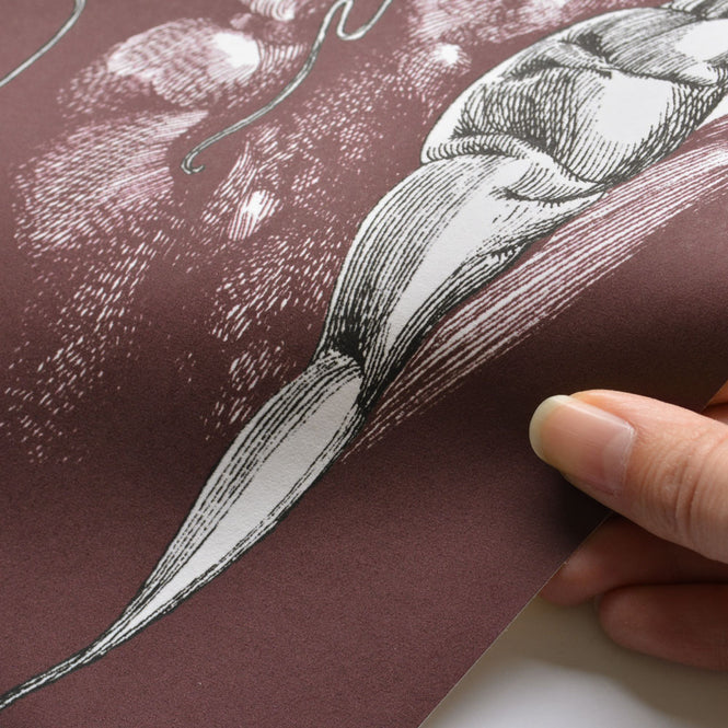 Catherine Gran / キャサリン・グラン Lievres droit aubergine RM101-03