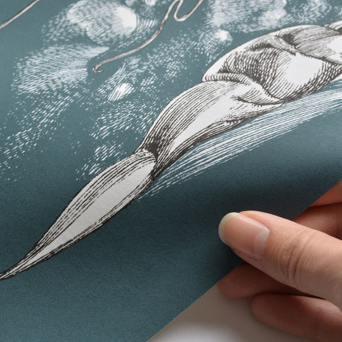 Catherine Gran / キャサリン・グラン Lievres droit bleu RM101-04