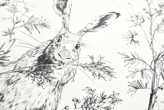 Catherine Gran / キャサリン・グラン Lievres droit blanc & noir RM101-01