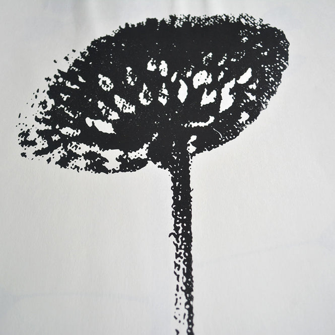 Tracy Kendall / Small Airhead