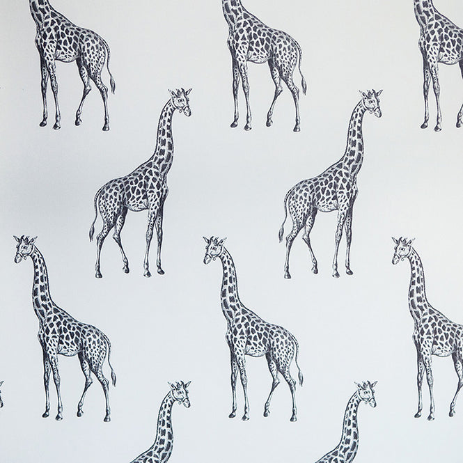 Abnormals Anonymous / Spot / Pleasantville