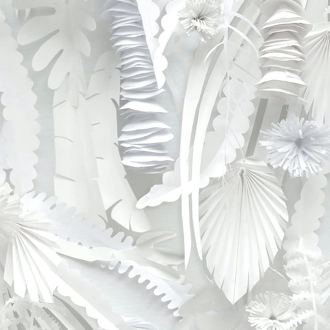 NLXL MONOCHROME WALLPAPER PAPER FLOWERS WALLPAPER BY STUDIO BOOT STB-02