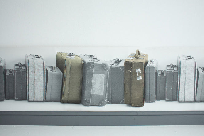 Deborah Bowness / The Standard Collection / Suitcase Border / white