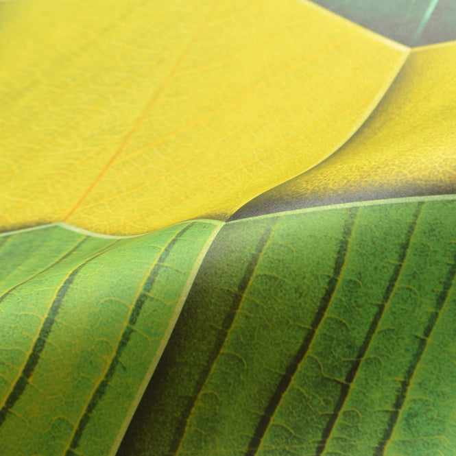 NLXL YELLOW EDGE WALLPAPER BY SUZAN HIJINK / SUZ-06