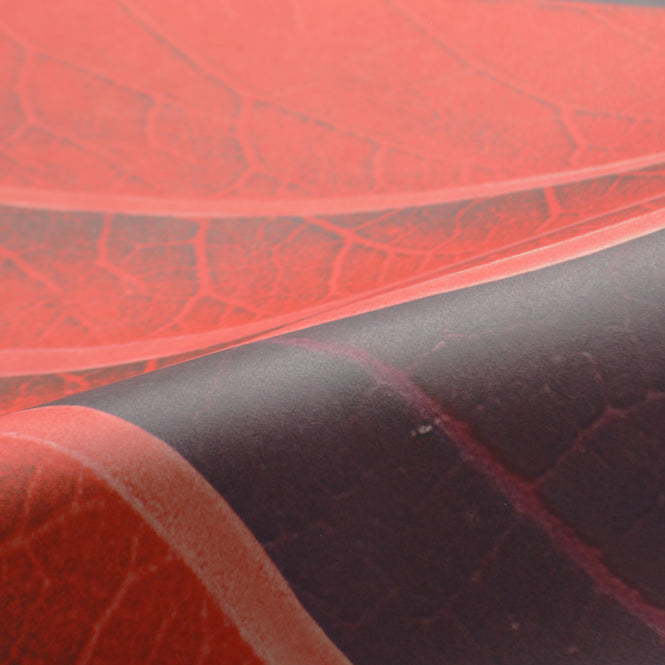 NLXL HIDDEN FRUITS WALLPAPER BY SUZAN HIJINK / SUZ-07