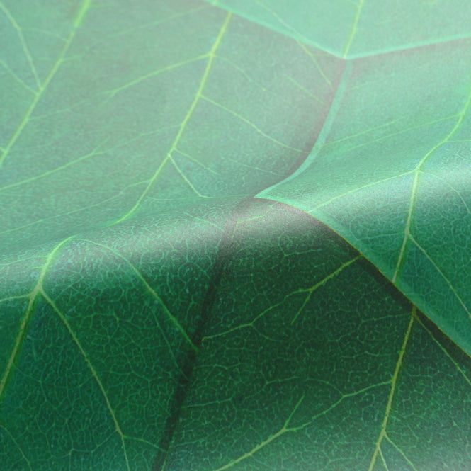 NLXL RAINY WOODS WALLPAPER BY SUZAN HIJINK / SUZ-08