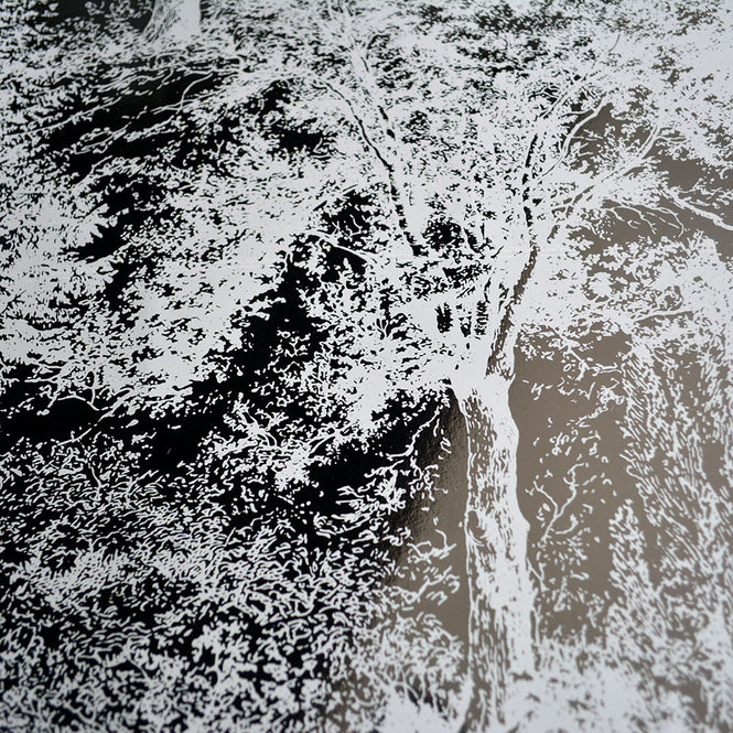 Tracy Kendall / Toile/silver