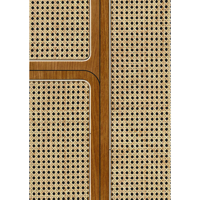 NLXL CANE WEBBING / ANGLE WEBBING VOS-04