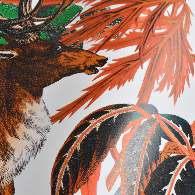 【限定数】KRISTJANA S WILLIAMS STUDIO / House Plant Wallpaper WAP0023【3パネル1セット】