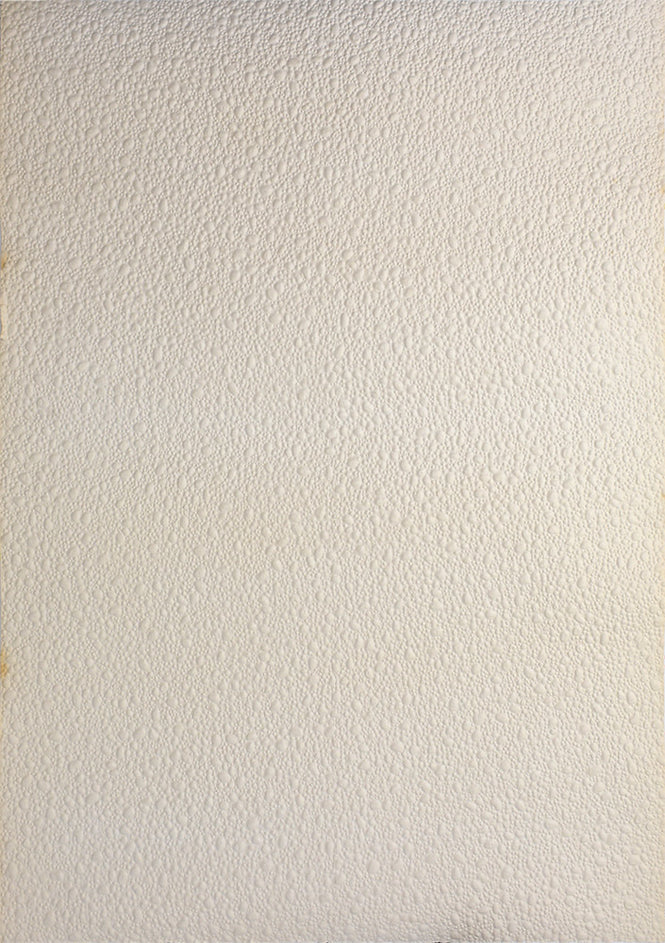 Vintage Wallpaper / WD-312