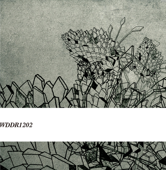 Wall&deco / Life 12 Drawing / WDDR1202