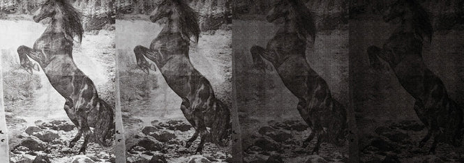 Wall&deco / Life 13 El caballo de Andy / WDEC1301