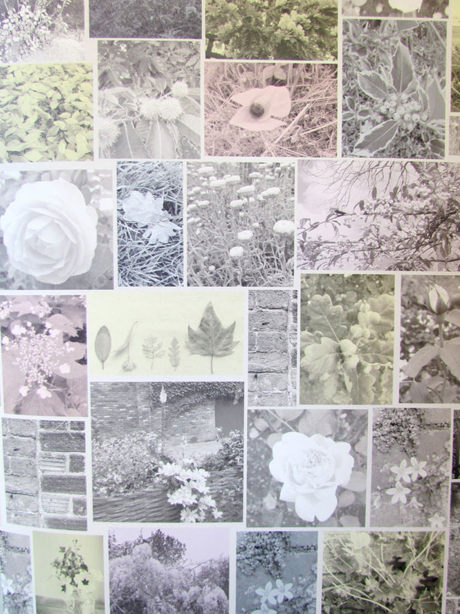 YSD LONDON / OFF THE BEATEN PATH WP-OTBP-01