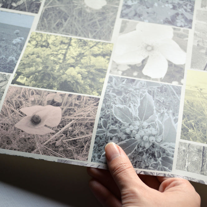 YSD LONDON / OFF THE BEATEN PATH WP-OTBP-01