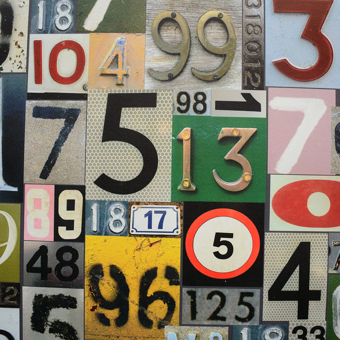 【1mサンプル】YSD LONDON / Safety in numbers Day trip WP-SIN-01