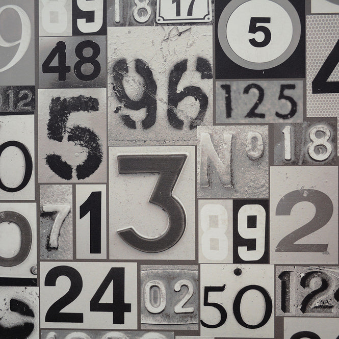 【1mサンプル】YSD LONDON / Safety in numbers Night Out WP-SIN-02