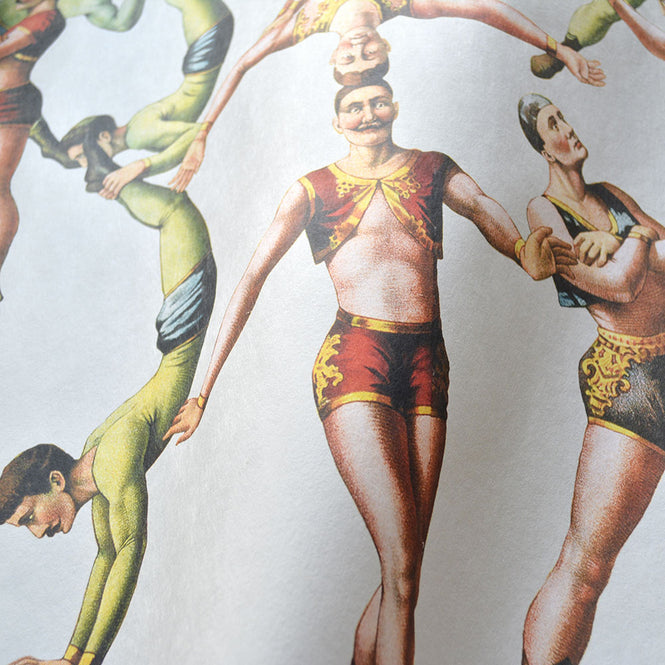 MINDTHEGAP /  THE ACROBATS Tapet WP20005