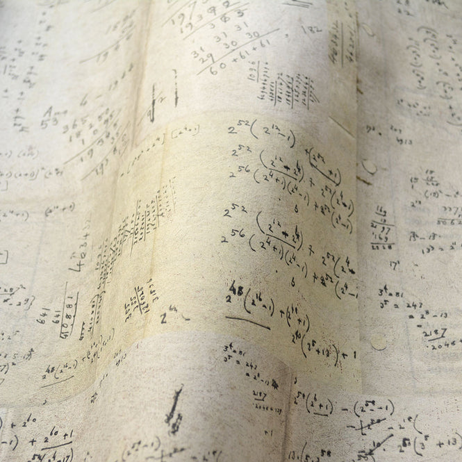 MINDTHEGAP /  MATH WP20044