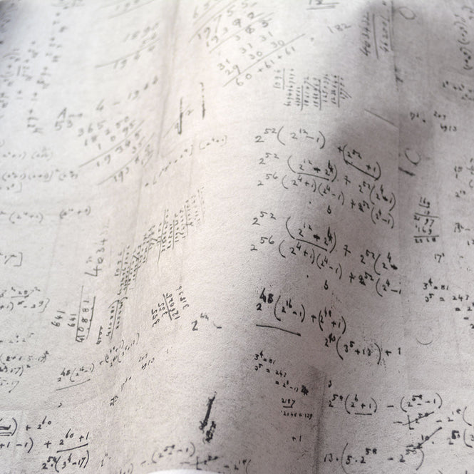 MINDTHEGAP /  MATH NEUTRAL WP20045