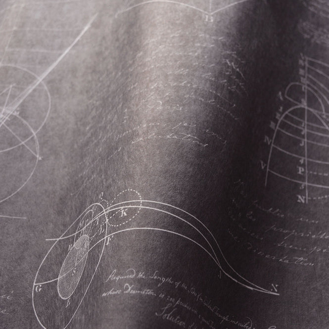 MINDTHEGAP /  NEWTON GEOMETRY WP20046