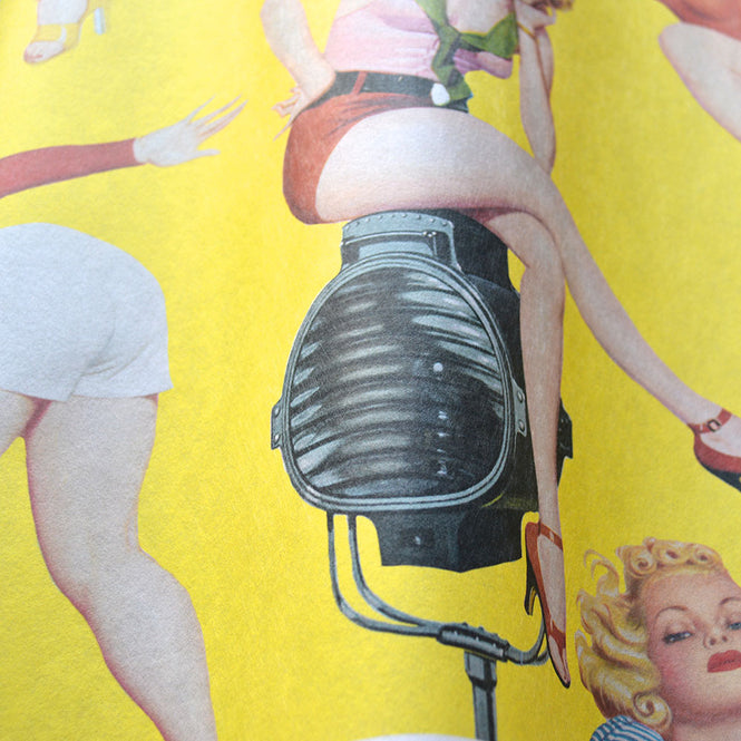 MINDTHEGAP /  PIN-UP GIRLS WP20068