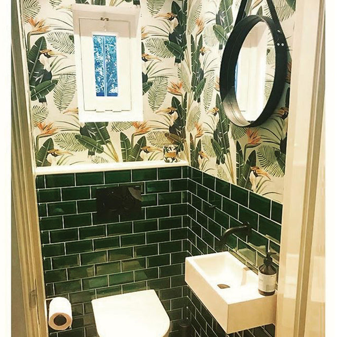 MINDTHEGAP /  BIRDS OF PARADISE WP20092