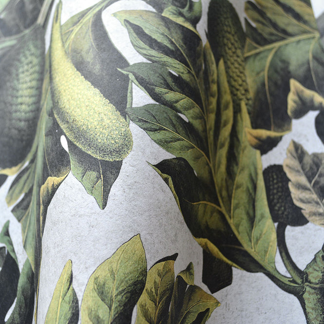 【限定数】MINDTHEGAP /  EXOTIC FRUIT I WP20097