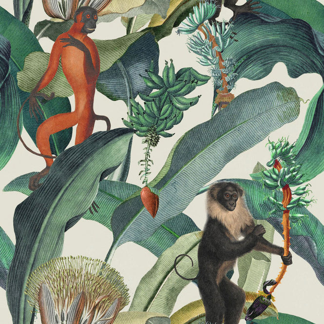 MINDTHEGAP /  BERMUDA Light WP20155