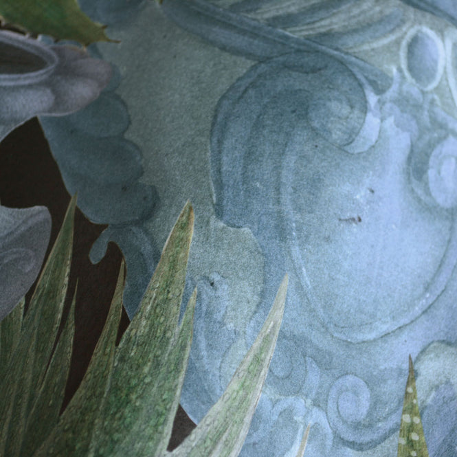 MINDTHEGAP /  ECHEVERIA WP20163