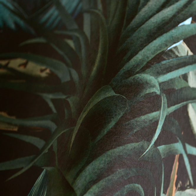 MINDTHEGAP /  LUSH SUCCULENTS WP20164