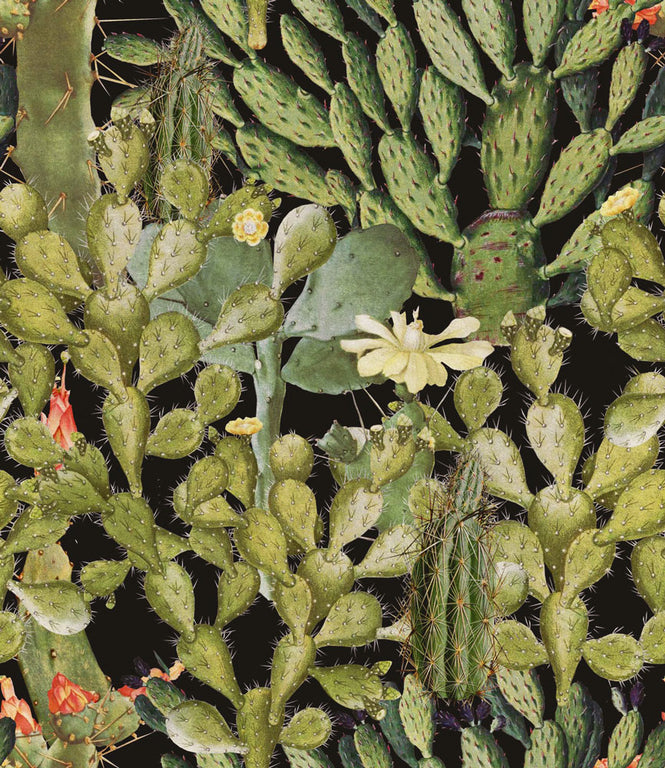 MINDTHEGAP /  OPUNTIA Anthracite WP20165