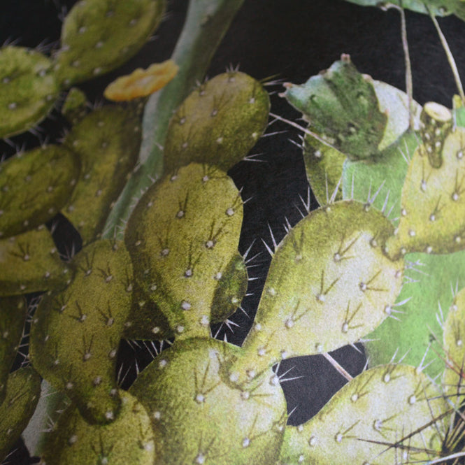 MINDTHEGAP /  OPUNTIA Anthracite WP20165