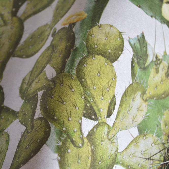 MINDTHEGAP /  OPUNTIA WP20166