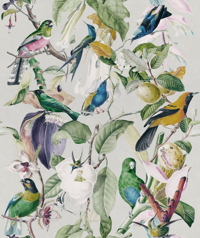 MINDTHEGAP /  TROPICAL BIRDS WP20172