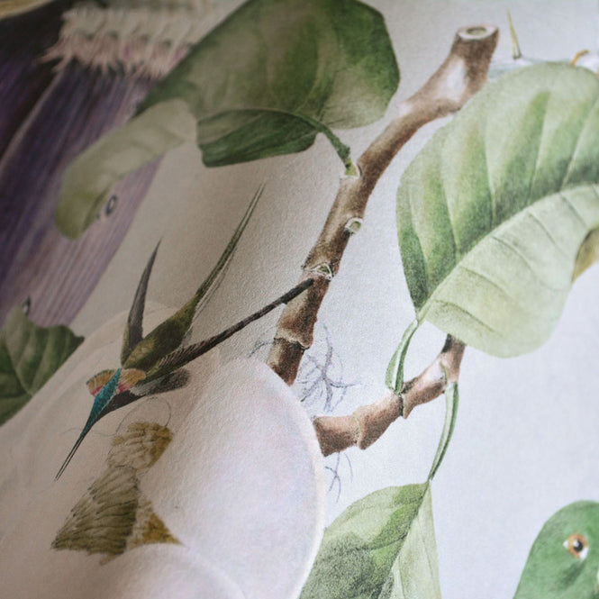 MINDTHEGAP /  TROPICAL BIRDS WP20172