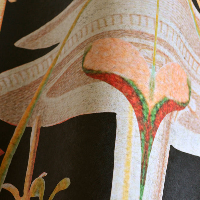 MINDTHEGAP /  GARDENS OF POMPEII WP20198