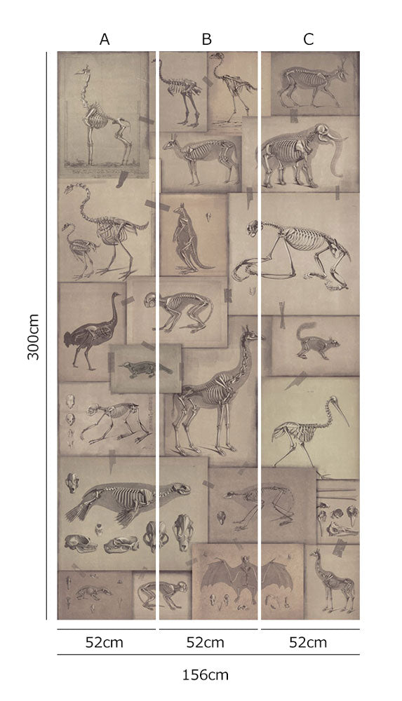 MINDTHEGAP /  ZOOARCHAEOLOGY WP20236