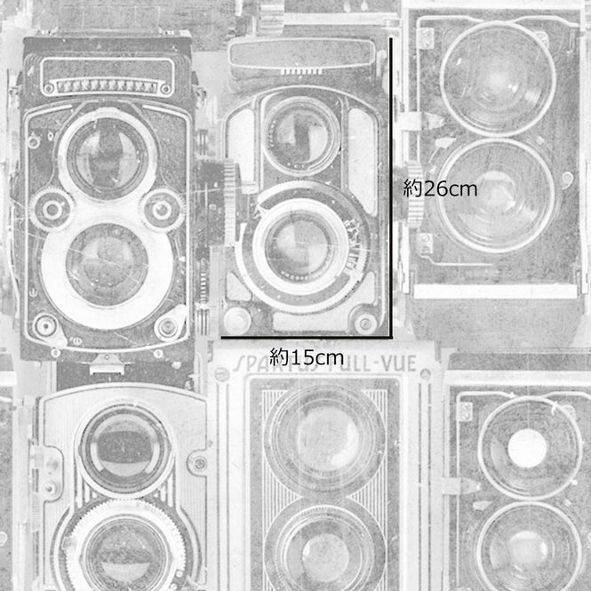 MINDTHEGAP /  OBSCURE WP20239