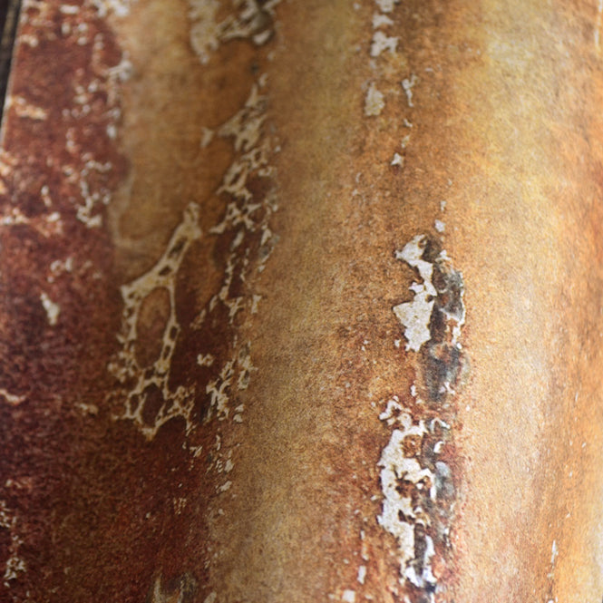 MINDTHEGAP /  RUSTY TIN WP20242