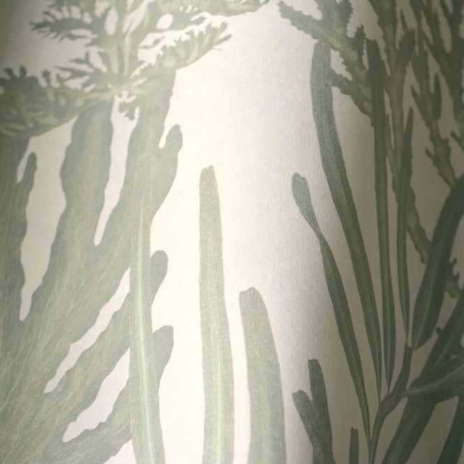 MINDTHEGAP / LIGHT CORALS WP20300