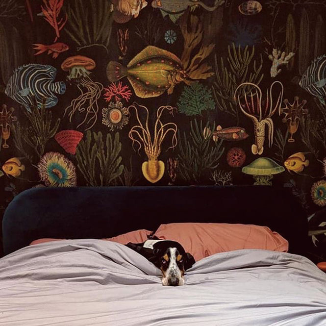 MINDTHEGAP / OCEANIA WP20304