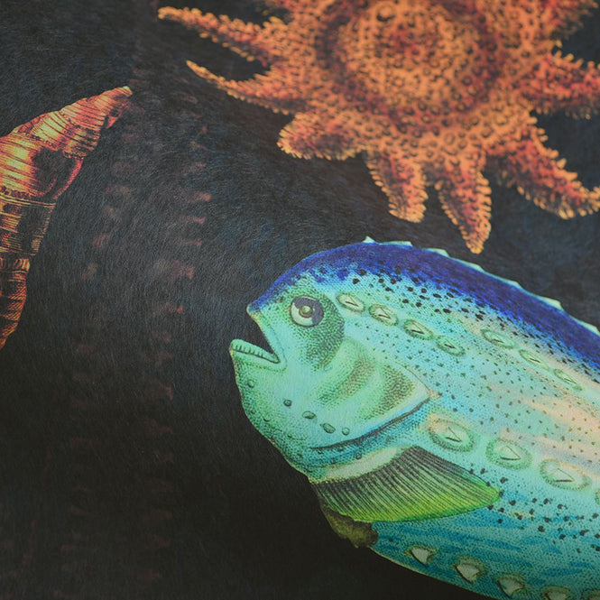 MINDTHEGAP / OCEANIA WP20304