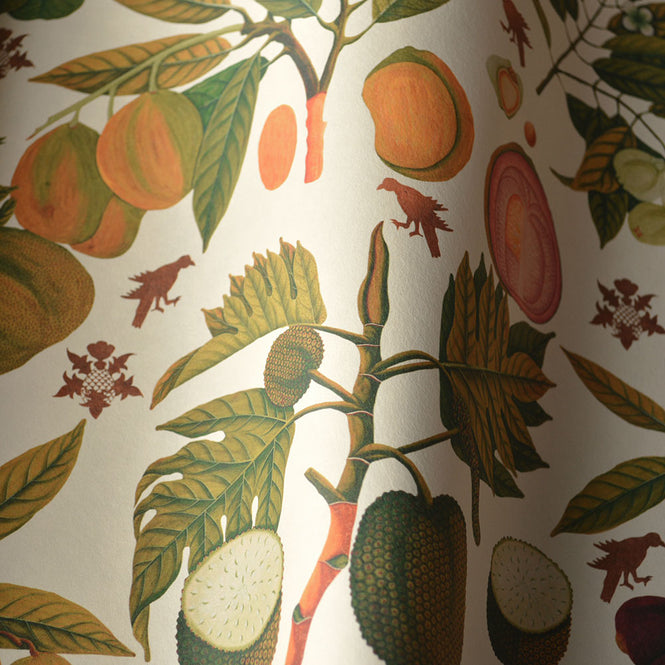 MINDTHEGAP / ASIAN FRUITS AND FLOWERS WP20315