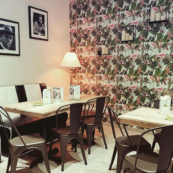 MINDTHEGAP / BEVERLY HILLS Mint WP20358