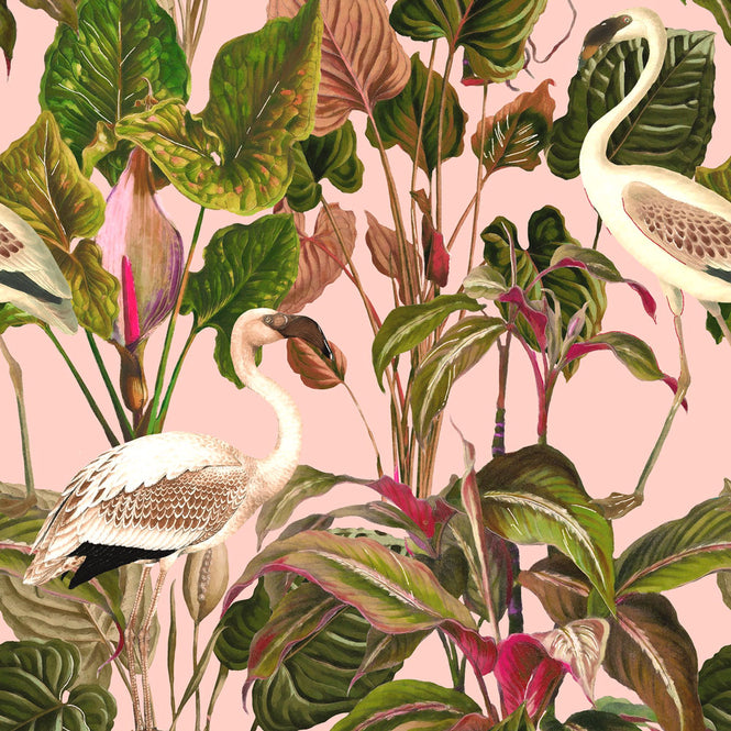 MINDTHEGAP / BEVERLY HILLS Pink WP20359