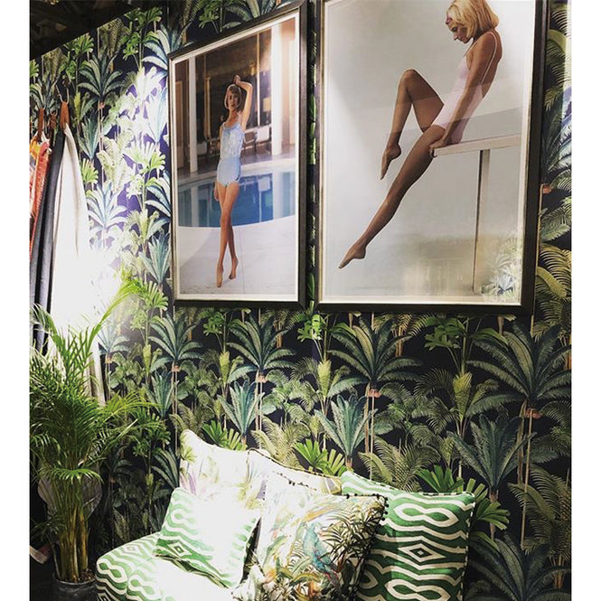 【限定数】MINDTHEGAP / PALMERAS Anthracite WP20362