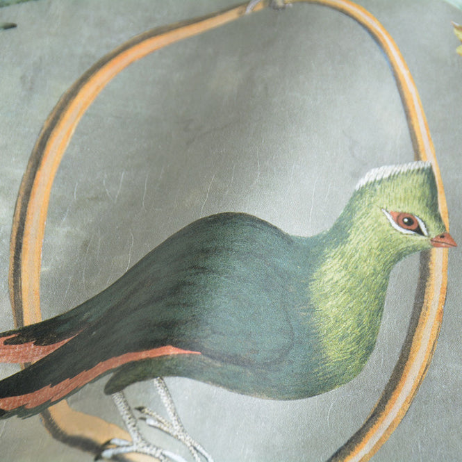 MINDTHEGAP / THE TRANSYLVANIAN MANOR / COUNTESSE’S AVIARIUM Neutral WP20427